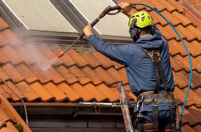 Démoussage et hydrofuge de toiture à Écoche